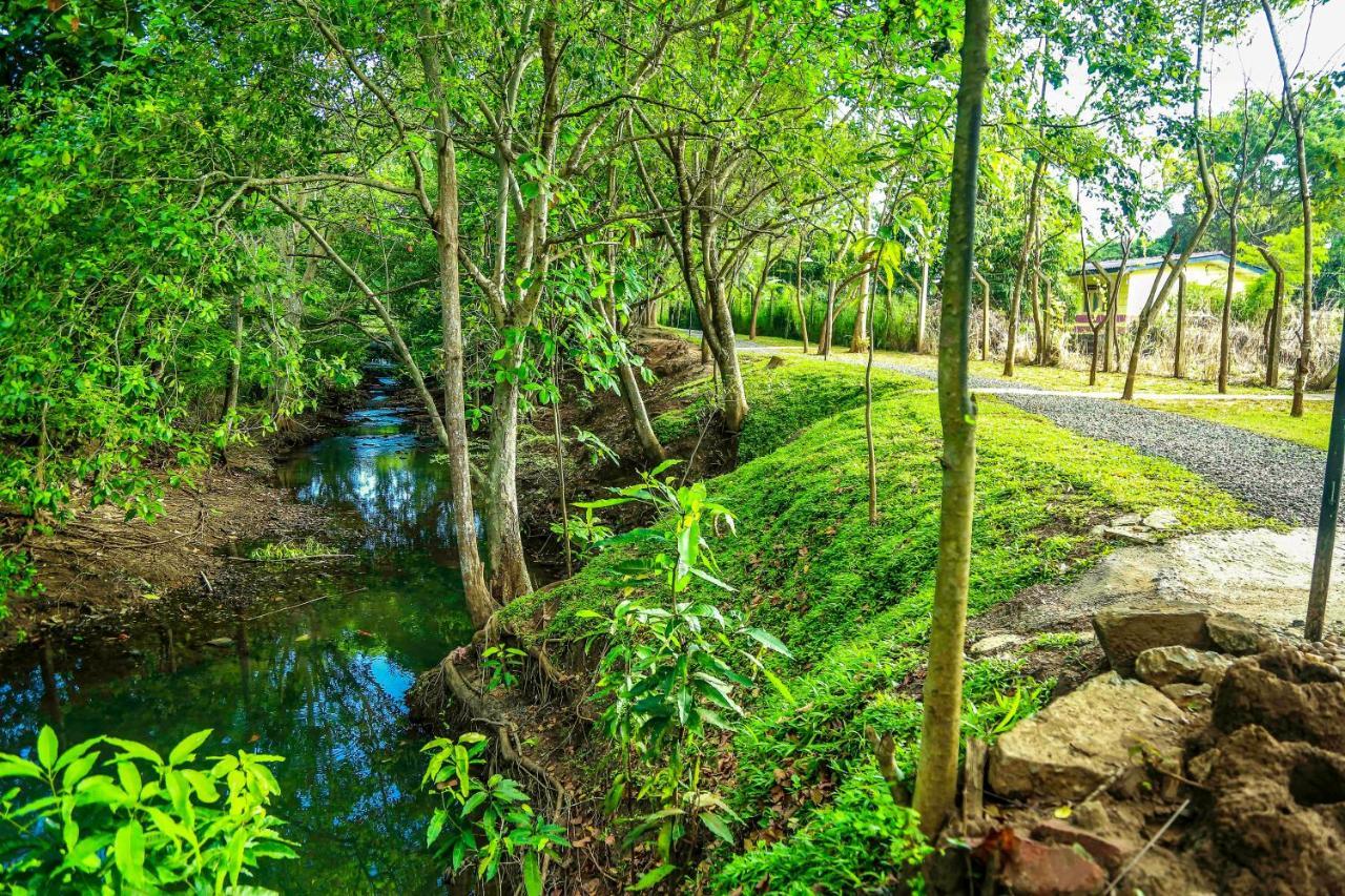 Doola River Edge Udawalawe Exterior foto